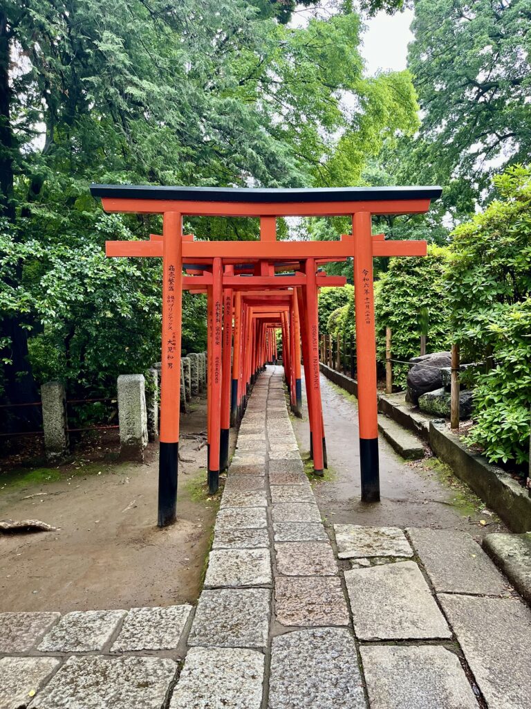 根津神社　千本鳥居