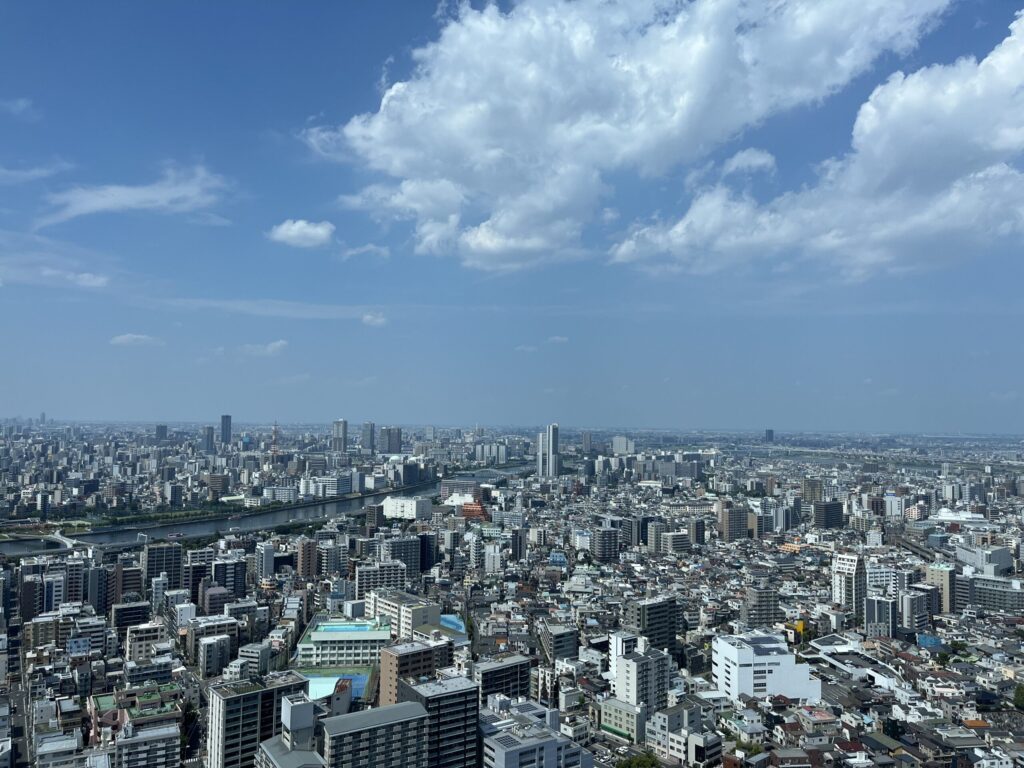 イーストタワーからの眺め