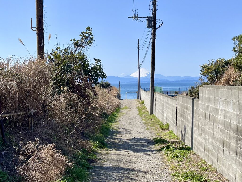 葉山公園前バス停から海岸へ