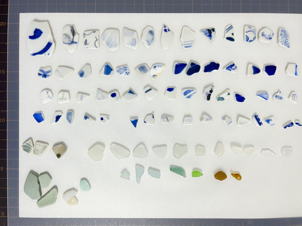 ビーチコーミング収穫