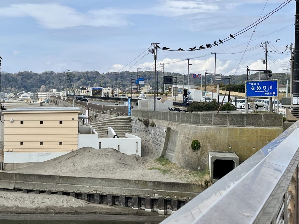 私を襲ったカラス